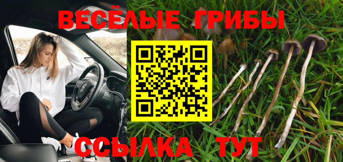 Галлюциногенные грибы Magic Shrooms  Вход с VPN  Елец 
